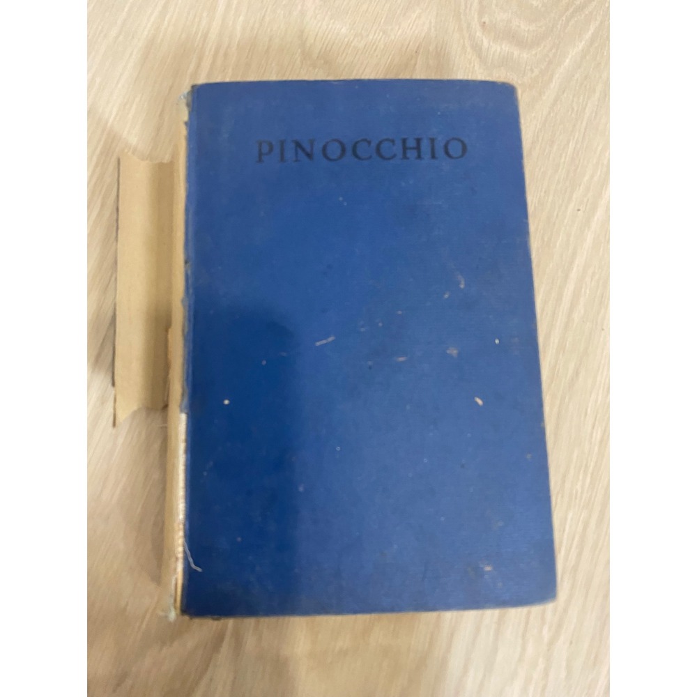 Vintage 1924 Pinocchio C. Collodi Saalfield Publishing Frances Brundage Book
